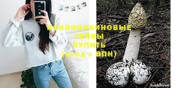 тгк Арсеньев