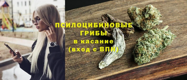 тгк Арсеньев