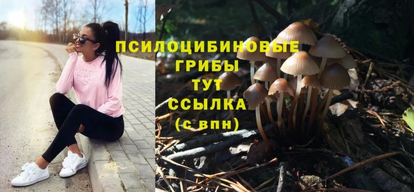 2c-b Аркадак