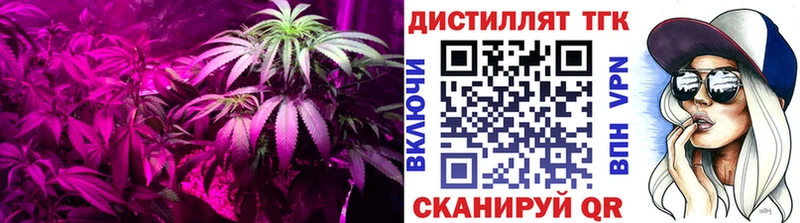 ТГК Wax  Купить закладки  Кунгур 