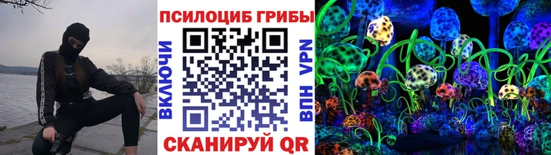 Купить  Кунгур  Псилоцибиновые грибы Psilocybine cubensis 